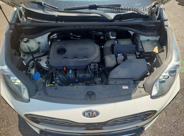 KNDP63AC0L7771626 2020 KIA SPORTAGE Белый Вид задней части салона