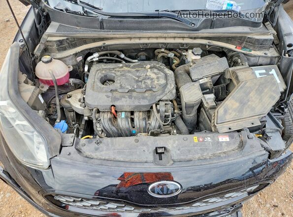 KNDP63AC2N7014388 2022 KIA SPORTAGE Черный Вид задней части салона