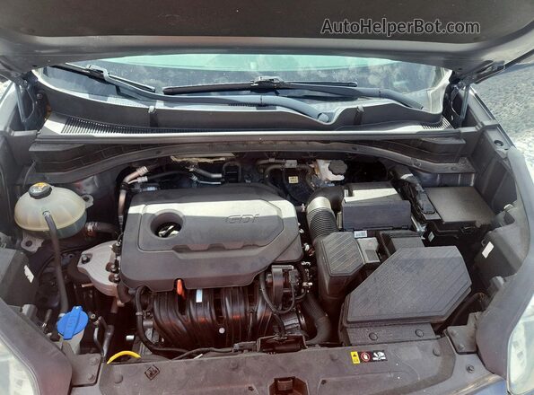 KNDP63AC4L7677507 2020 KIA SPORTAGE Teal უკანა სალონის ხედი
