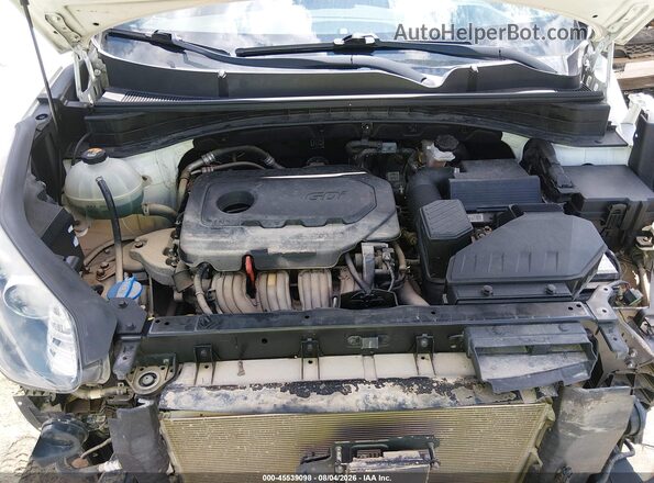 KNDP6CAC5L7677743 2020 KIA SPORTAGE Белый Вид сзади