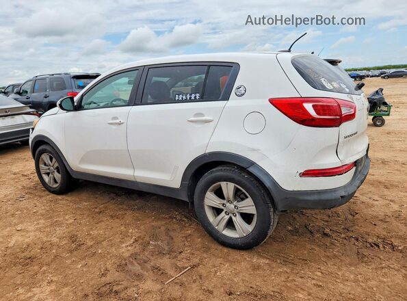 KNDPB3A24D7460317 2023 KIA SPORTAGE White Задня ліва чверть