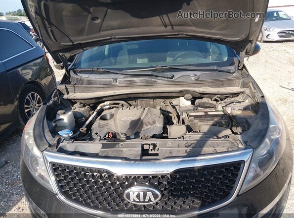 KNDPB3AC2G7851074 2016 KIA SPORTAGE Black Widok z tyłu