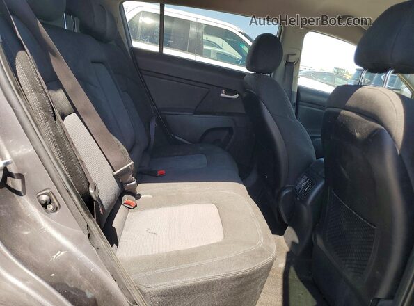 KNDPB3AC5G7827951 2016 KIA SPORTAGE Gray Widok wnętrza z tyłu