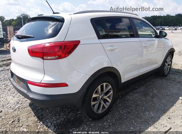 KNDPB3AC8G7871197 2016 KIA SPORTAGE Белый Задняя правая четверть