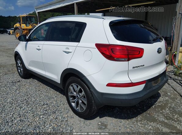 KNDPB3AC8G7871197 2016 KIA SPORTAGE Белый Задняя левая четверть