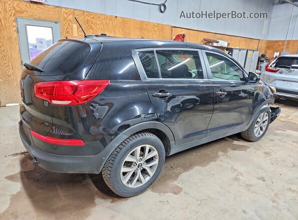 KNDPB3ACXG7809042 2016 KIA SPORTAGE Charcoal Rear right