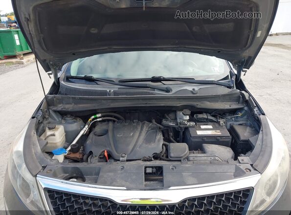 KNDPB3ACXG7846849 2016 KIA SPORTAGE Dark Blue Հետևի տեսք