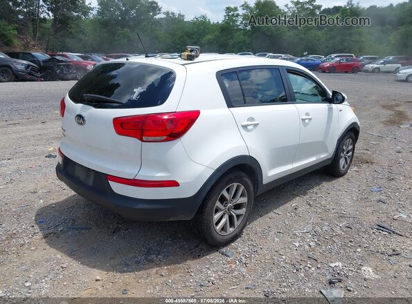 KNDPBCAC1G7814341 2016 KIA SPORTAGE White Rear right