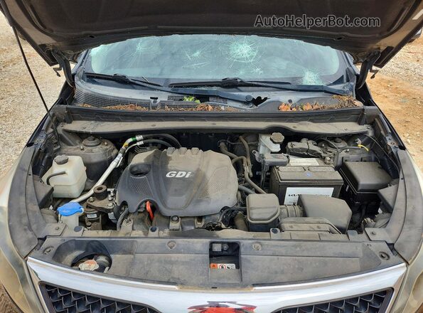 KNDPBCAC1G7825985 2016 KIA SPORTAGE Black უკანა სალონის ხედი