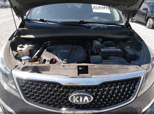 KNDPBCAC3G7831741 2016 KIA SPORTAGE Black Հետևի տեսք