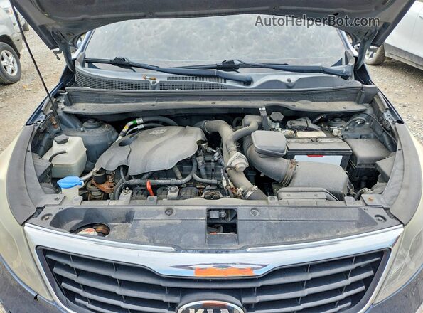 KNDPC3A65G7813913 2016 KIA SPORTAGE Blue Vista interior trasera