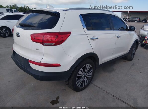 KNDPC3AC5G7836081 2016 KIA SPORTAGE White Rear right