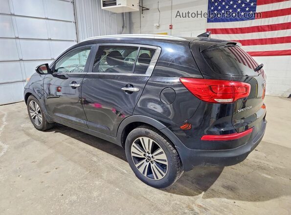 KNDPCCAC9G7807912 2016 KIA SPORTAGE Black Задня ліва чверть