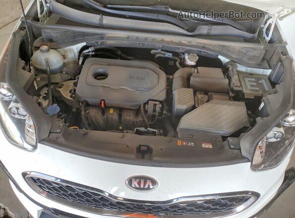 KNDPM3AC0L7761538 2020 KIA SPORTAGE White Սալոնի հետևի տեսք