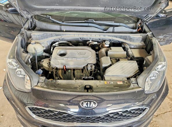 KNDPM3AC0L7785466 2020 KIA SPORTAGE Black უკანა სალონის ხედი