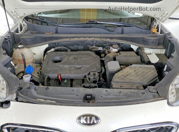 KNDPM3AC0N7983189 2022 KIA SPORTAGE White Widok wnętrza z tyłu