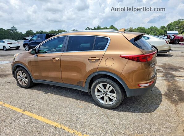 KNDPM3AC2H7078974 2017 KIA SPORTAGE Brown Հետևի ձախ