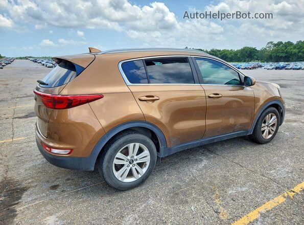 KNDPM3AC2H7078974 2017 KIA SPORTAGE Brown Հետևի աջ