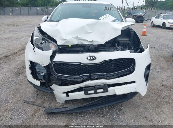 KNDPM3AC2K7616595 2019 KIA SPORTAGE White Սալոնի հետևի տեսք