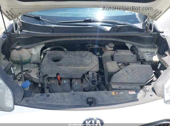 KNDPM3AC2L7816281 2020 KIA SPORTAGE Белый Вид сзади