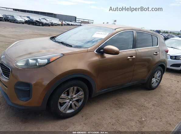 KNDPM3AC3H7080653 2017 KIA SPORTAGE Gold Rear interior view