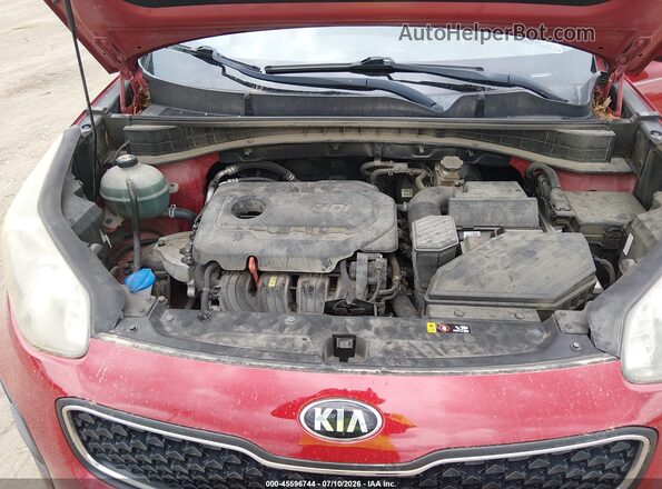 KNDPM3AC3K7526680 2019 KIA SPORTAGE Red უკანა ხედი