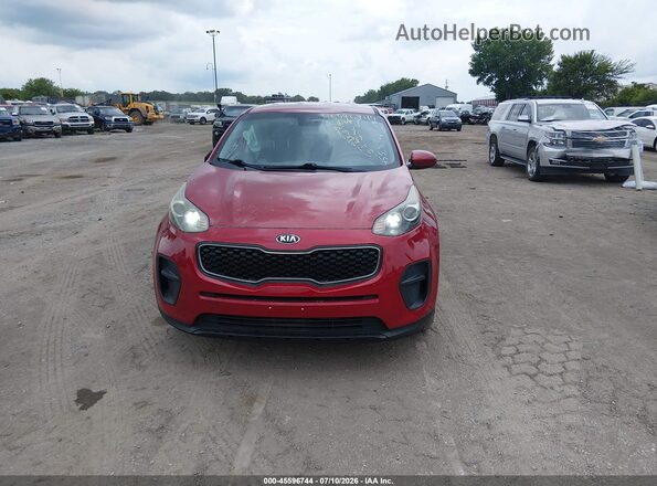KNDPM3AC3K7526680 2019 KIA SPORTAGE Red უკანა სალონის ხედი