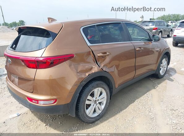 KNDPM3AC3K7622020 2019 KIA SPORTAGE Brown უკანა მარჯვენა
