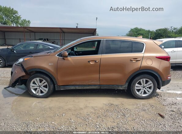KNDPM3AC3K7622020 2019 KIA SPORTAGE Brown უკანა სალონის ხედი