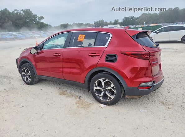 KNDPM3AC3M7918366 2021 KIA SPORTAGE Red Tył lewy
