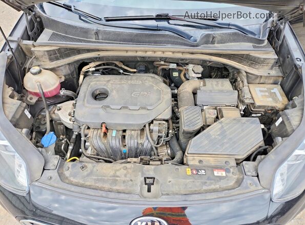 KNDPM3AC4N7991067 2022 KIA SPORTAGE Black უკანა სალონის ხედი