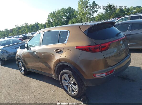 KNDPM3AC6H7108039 2017 KIA SPORTAGE Brown Tył lewy