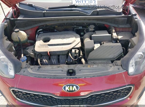 KNDPM3AC6K7545305 2019 KIA SPORTAGE Red Հետևի տեսք