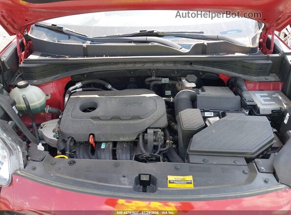 KNDPM3AC6L7801072 2020 KIA SPORTAGE Maroon Widok z tyłu