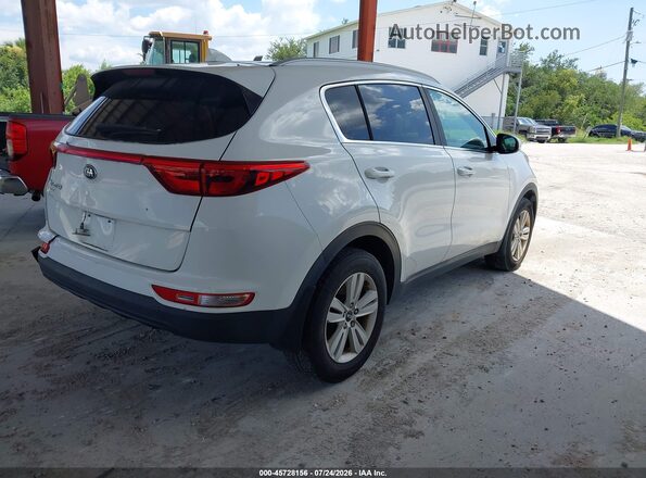KNDPM3AC7K7625972 2019 KIA SPORTAGE White უკანა მარჯვენა