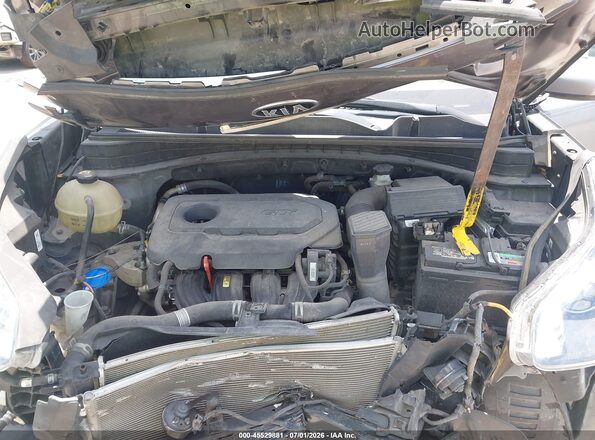 KNDPM3AC8H7072189 2017 KIA SPORTAGE Gray Widok z tyłu