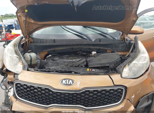 KNDPM3AC8J7370800 2018 KIA SPORTAGE Brown Rear view