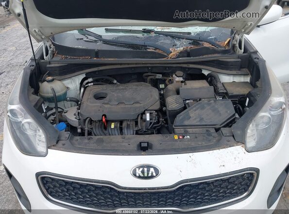 KNDPM3AC8K7491747 2019 KIA SPORTAGE White Հետևի տեսք