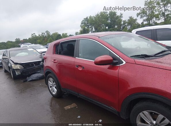 KNDPM3AC8K7558668 2019 KIA SPORTAGE Red Սալոնի հետևի տեսք