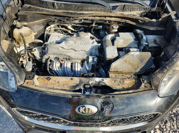 KNDPM3AC8L7692646 2020 KIA SPORTAGE Black Սալոնի հետևի տեսք