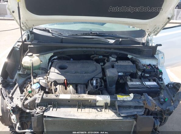 KNDPM3AC9K7510225 2019 KIA SPORTAGE White Rear view