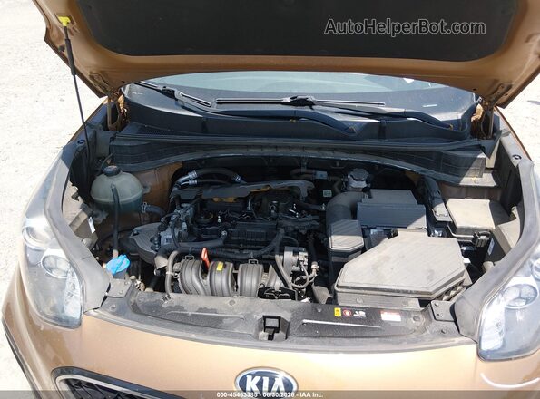 KNDPM3AC9L7783585 2020 KIA SPORTAGE Brown Widok z tyłu