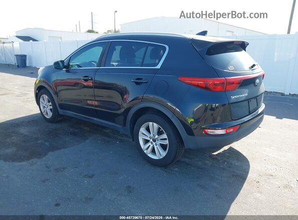 KNDPM3ACXH7032695 2017 KIA SPORTAGE Black უკანა მარცხენა