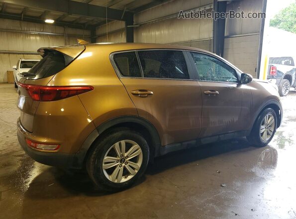 KNDPM3ACXH7104401 2017 KIA SPORTAGE Tan Հետևի աջ