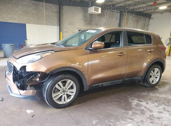 KNDPM3ACXH7104401 2017 KIA SPORTAGE Tan 