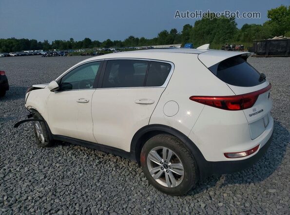 KNDPM3ACXH7217569 2017 KIA SPORTAGE Белый Задняя левая четверть