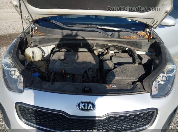 KNDPM3ACXK7580638 2019 KIA SPORTAGE Серебряный Вид сзади