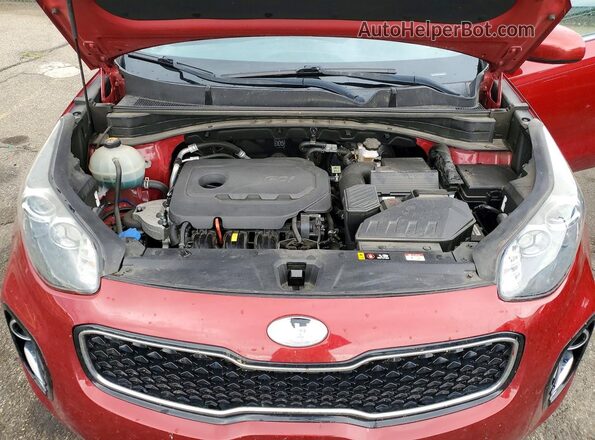 KNDPMCAC0K7599991 2019 KIA SPORTAGE Burgundy Սալոնի հետևի տեսք