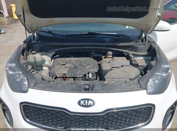 KNDPMCAC1H7291236 2017 KIA SPORTAGE White Rear view