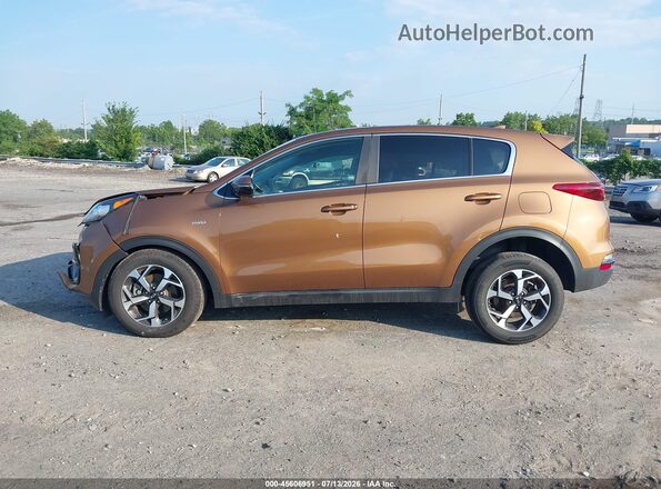 KNDPMCAC1L7632613 2020 KIA SPORTAGE Brown Սալոնի հետևի տեսք